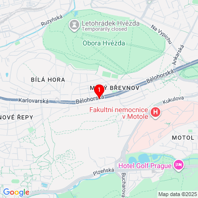 Bělohorská 151/259,Praha 6-Břevnov,169 00