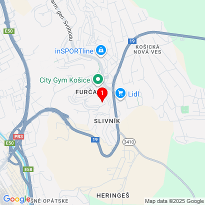 Dvorkinova 3,Košice-Dargovských hrdinov,04022