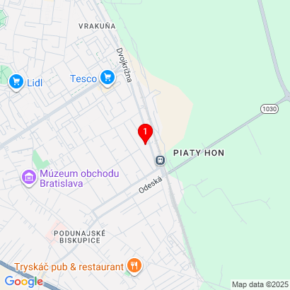 Výtvarná 40,Bratislava-Podunajské Biskupice,82106