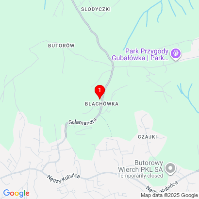 ul. Salamandry 31B,Kościelisko,34-511