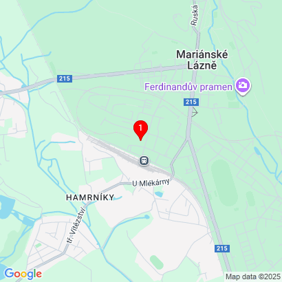 Husova 316,Mariánské Lázně,353 01