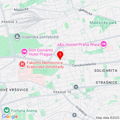 Vinohradská 3216/163, Strašnice,Praha 10,100 00