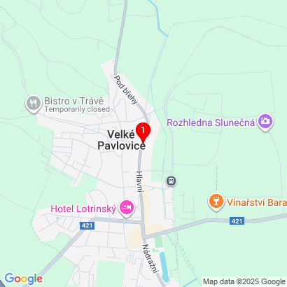 Hlavní 148/98,Velké Pavlovice,69106