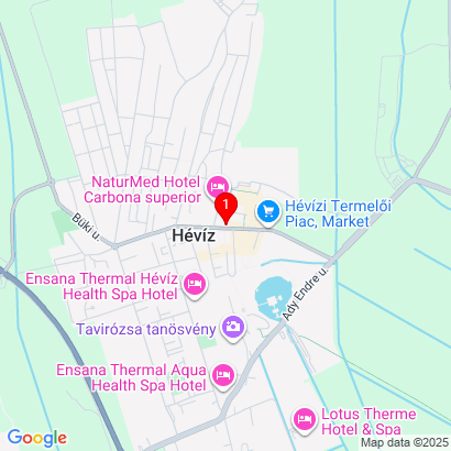 Széchenyi u. 16,Hévíz,H-9380
