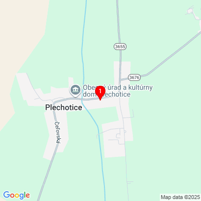 Ul. Hlavná 175,Plechotice,075 01