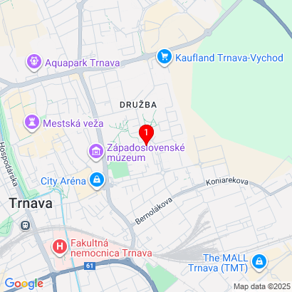 Vladimíra Clementisa 13,Trnava,917 01