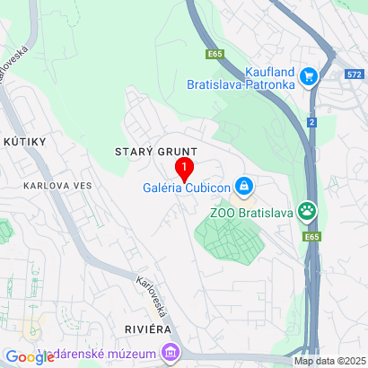 Staré Grunty 53,Bratislava-Karlova Ves,84247