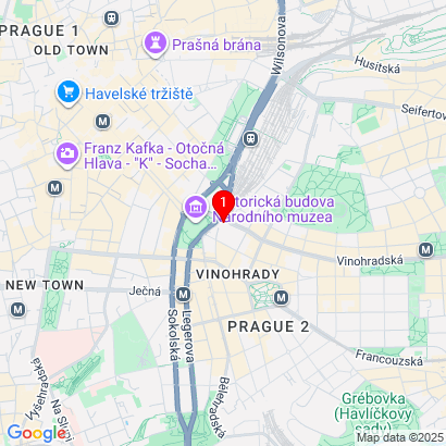 Vinohradská 343/6,Praha 2,