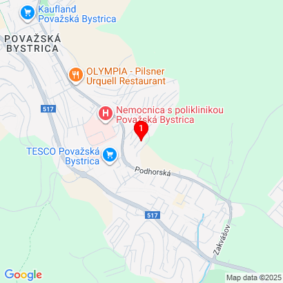 Dedovec 1796/314,Považská Bystrica,01701