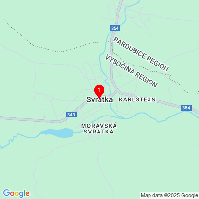 Podlesí u Sněžného 15,Svratka,592 02