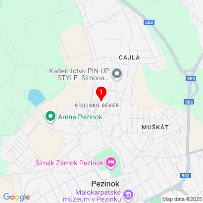 Svätoplukova 35,Pezinok,902 01