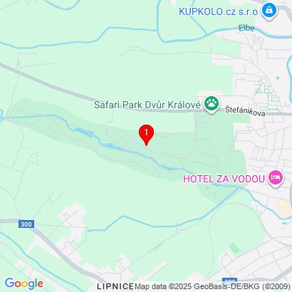 Štefánikova 1029,Dvůr Králové nad Labem,544 01