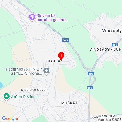 Dr. Bokesa 13,Pezinok,902 01