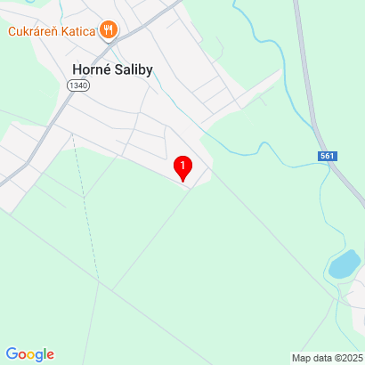 Janov dom 554,Horné Saliby,925 03