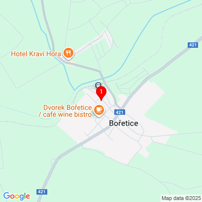 Bořetice 116,Bořetice,691 08