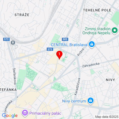 Willsonova1,Bratislava,81107