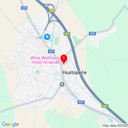 Husova 8,Hustopeče,693 01