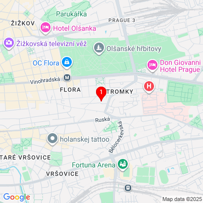 Bri Capku 21,Praha 10,101 00