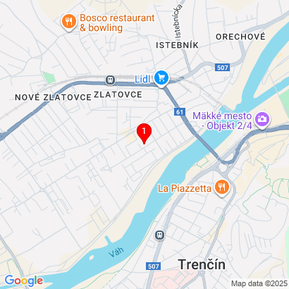 Veľkomoravská 2162/163,Trenčín,91105