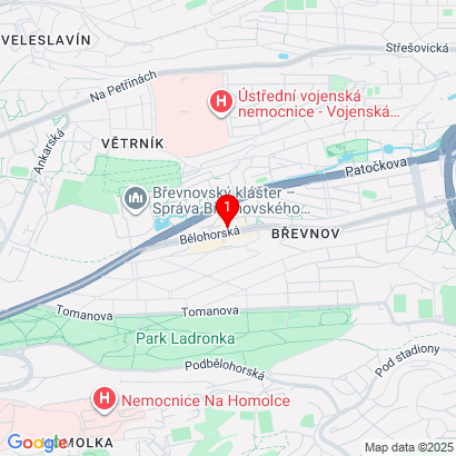 Břevnovská 433/12,Praha 6 – Břevnov,169 00