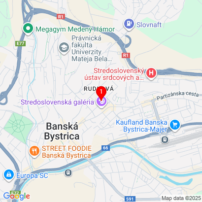 Skuteckého 126/13,Banská Bystrica,97401