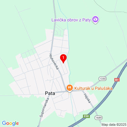 Mládežnícka 960/19,Pata,925 53