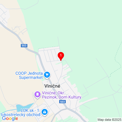 Vinohradnícka 1019/41,Viničné,90023